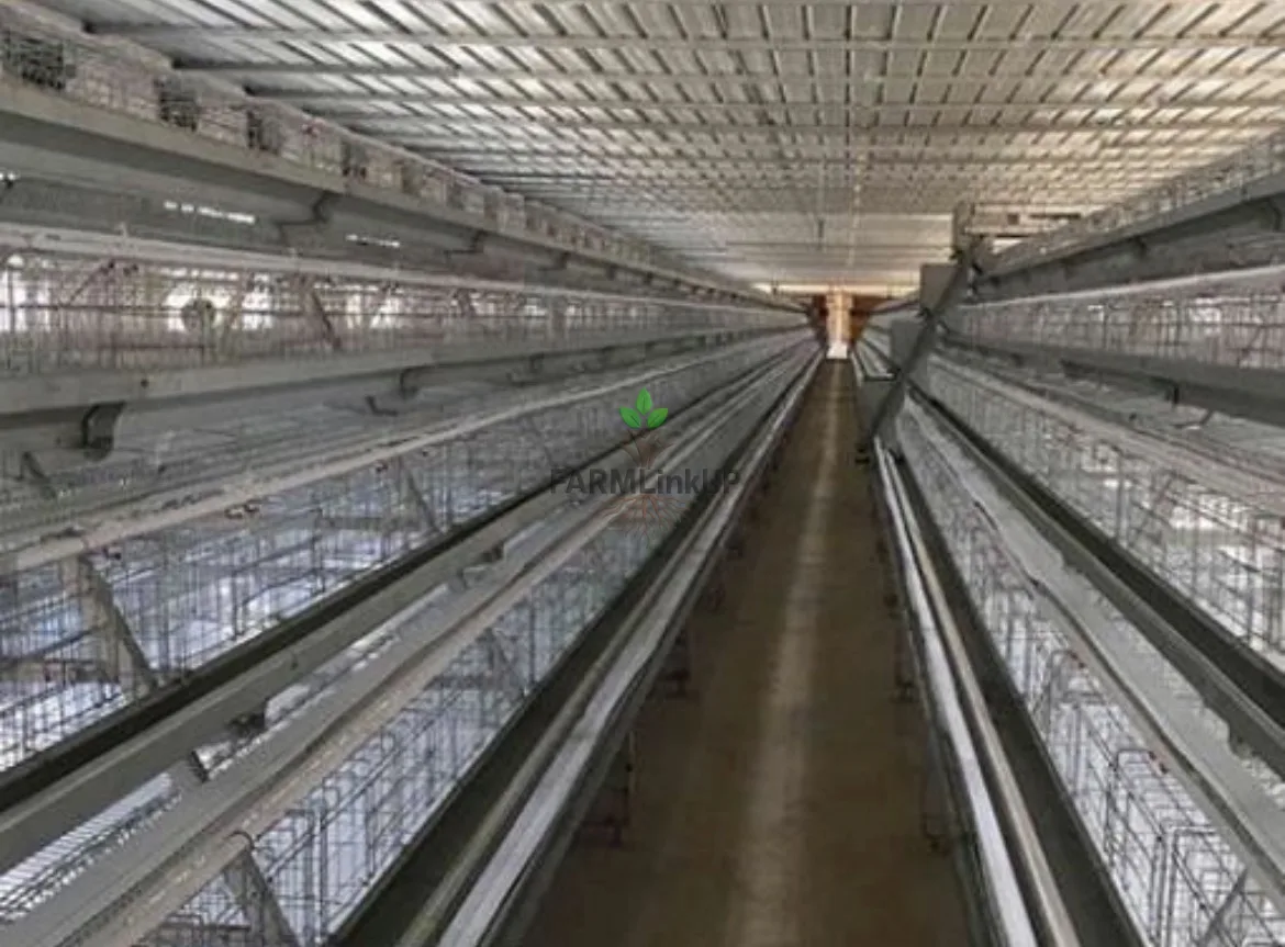 POULTRY CAGES ,IMPORTED BATERY CAGES , BEST CHICKEN CAGE 