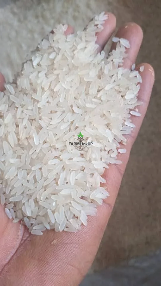 Nigeria Rice 50kg mamas pride