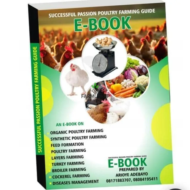 Ebooks 