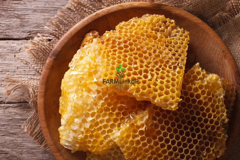 Tuanngy honey 🍯