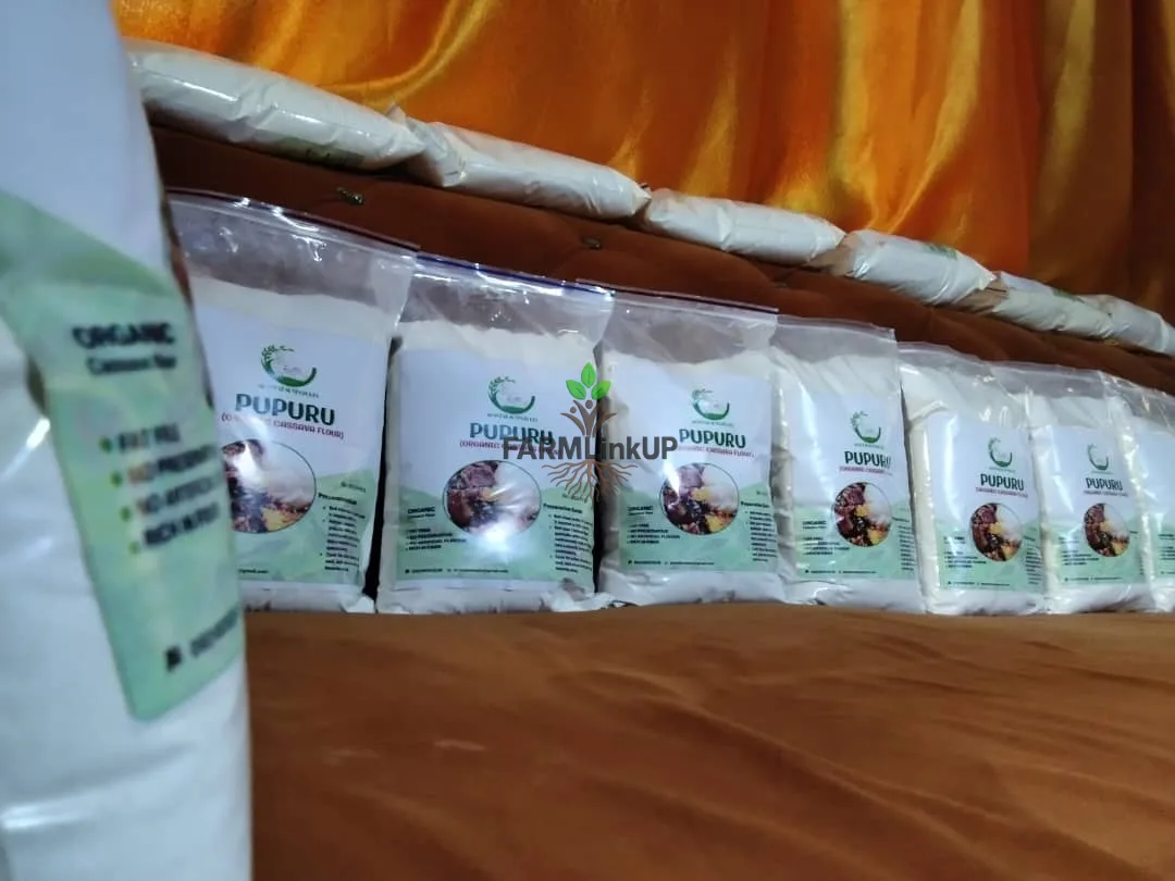 Pupuru (Cassava Flour) 