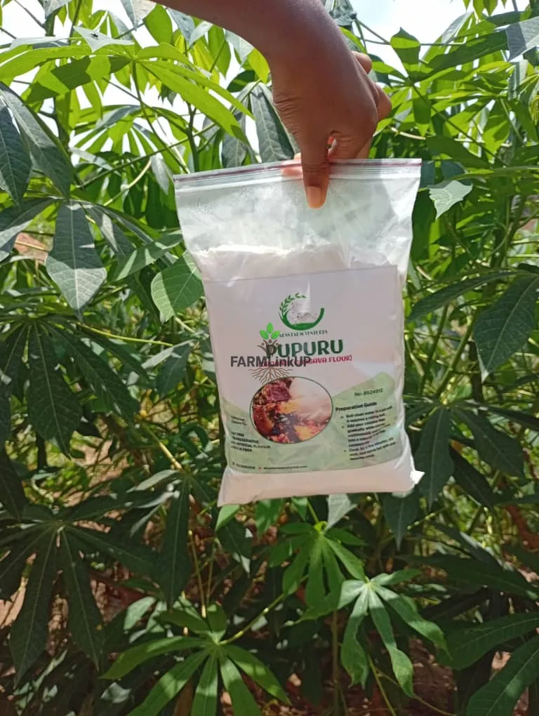 Pupuru (Cassava Flour) 