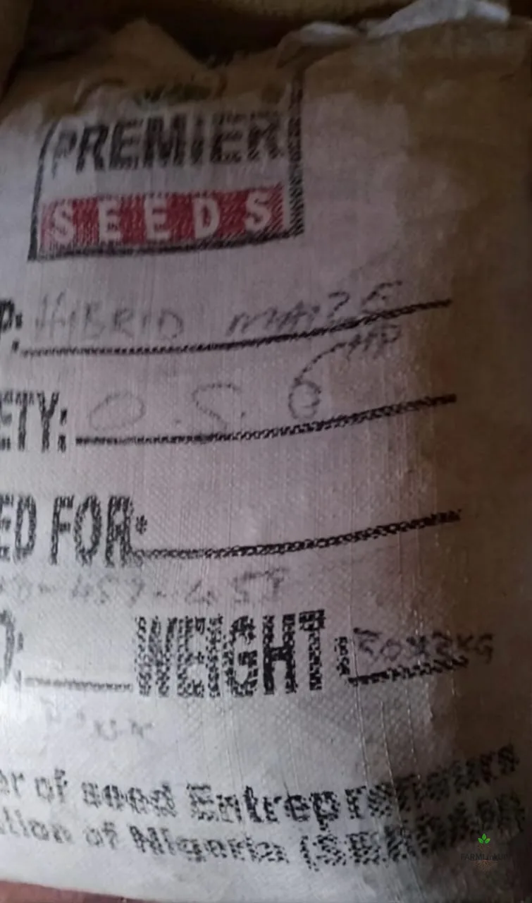 Hybrid Maize Seed Corn , 60kg 