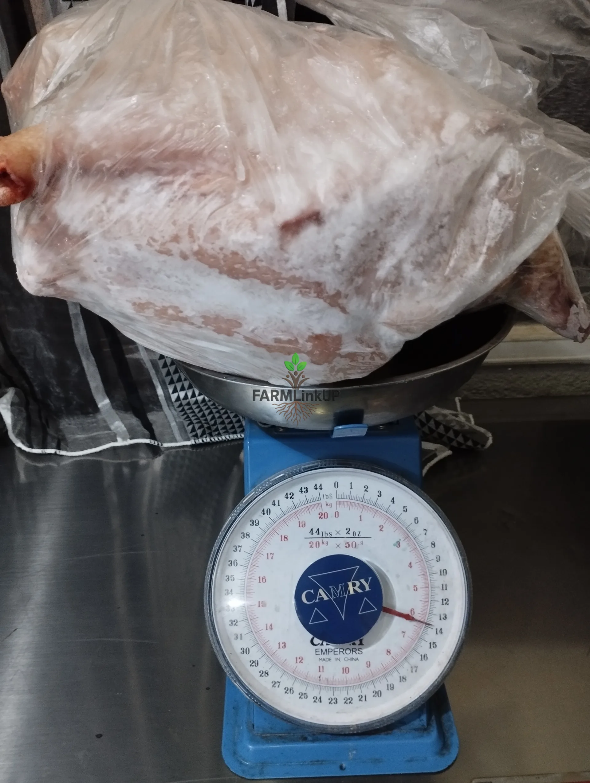 Frozen broilers 