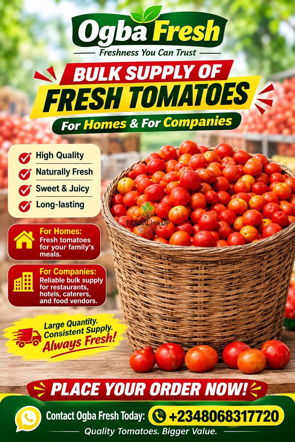 Baskets of tomatoes 