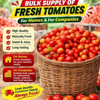 Baskets of tomatoes 