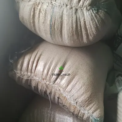 Bags of Soya beans 