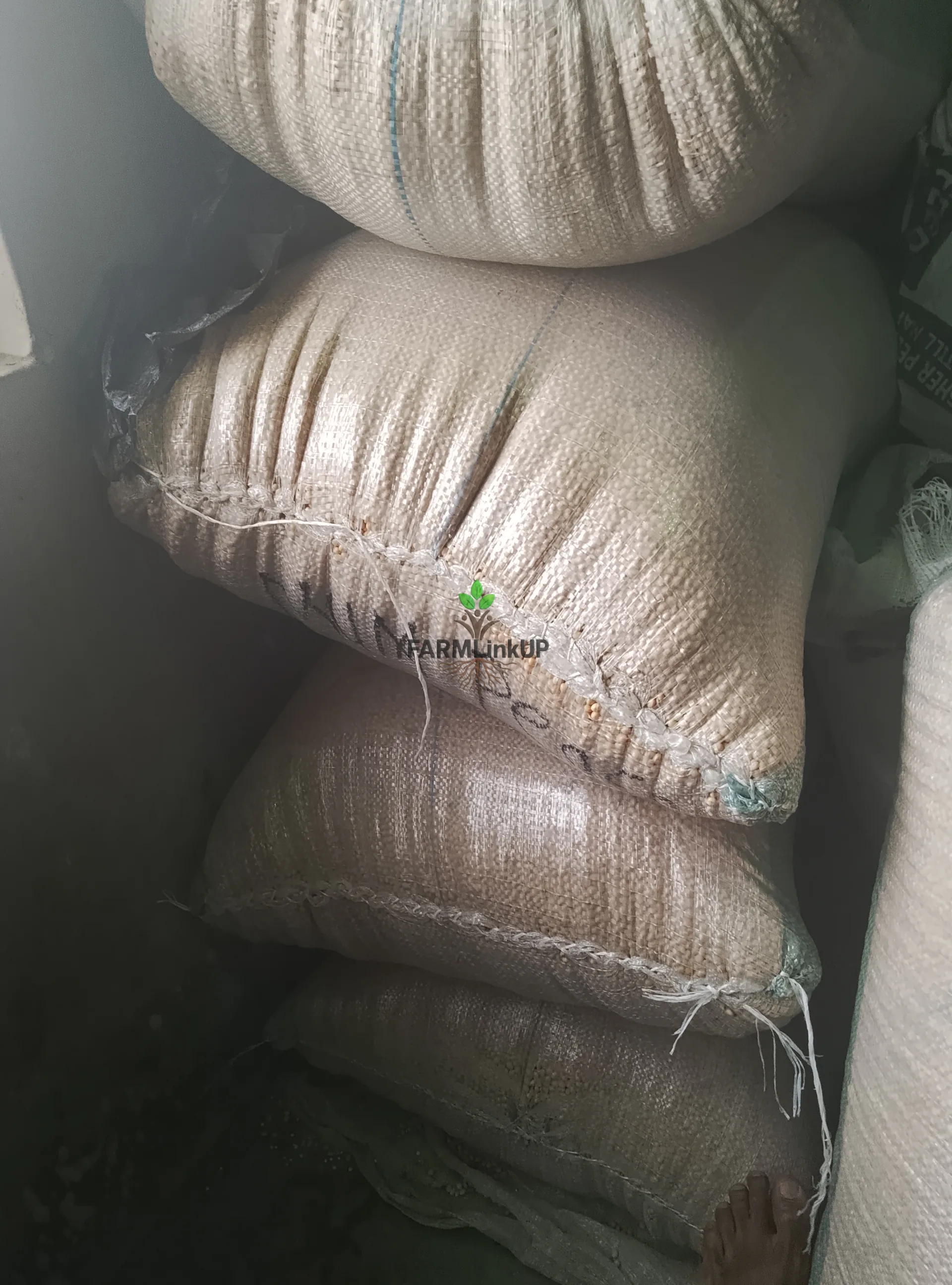 Bags of Soya beans 