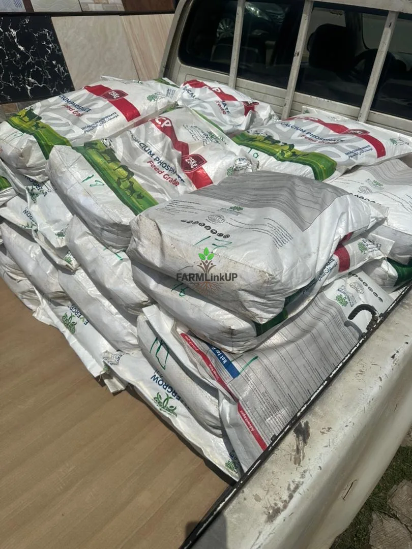 Lysine Methionine Dicalcium Phosphate Feed Grade — Serious Buyers