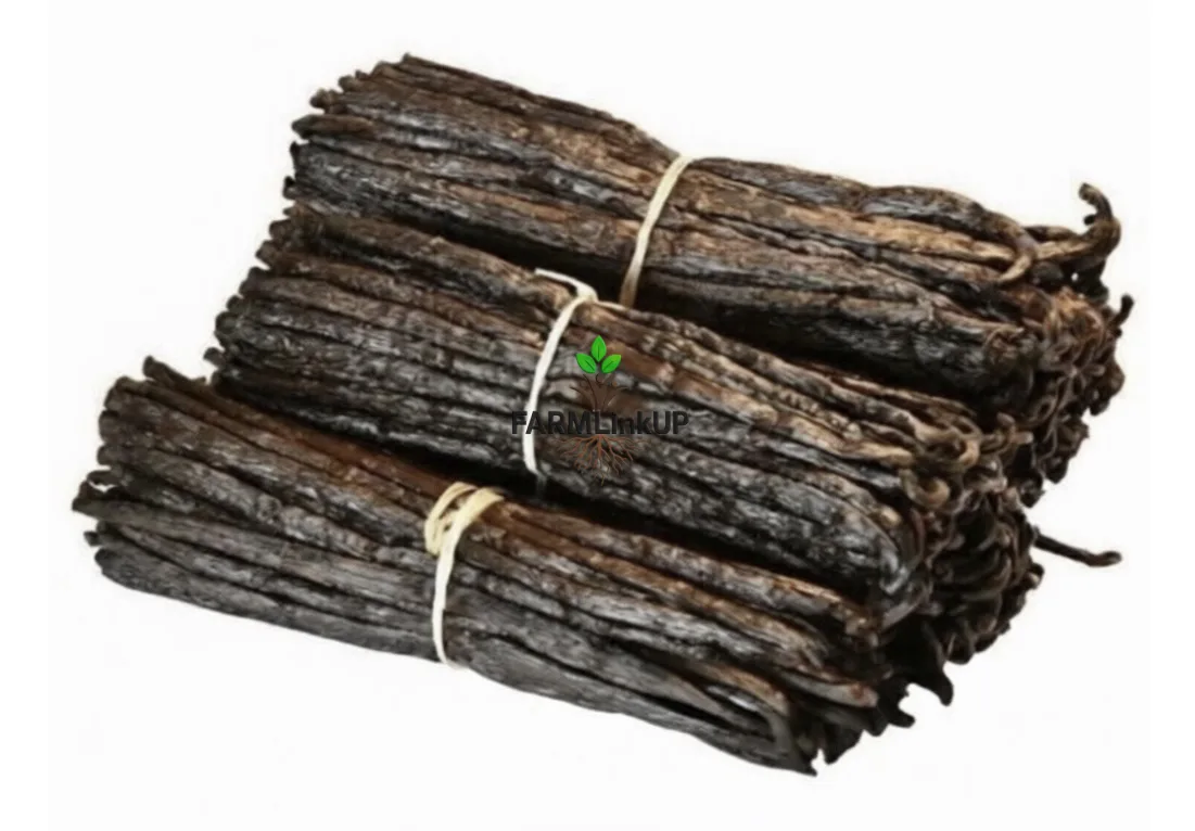 Vanilla Beans , Vanilla powder and Spices 