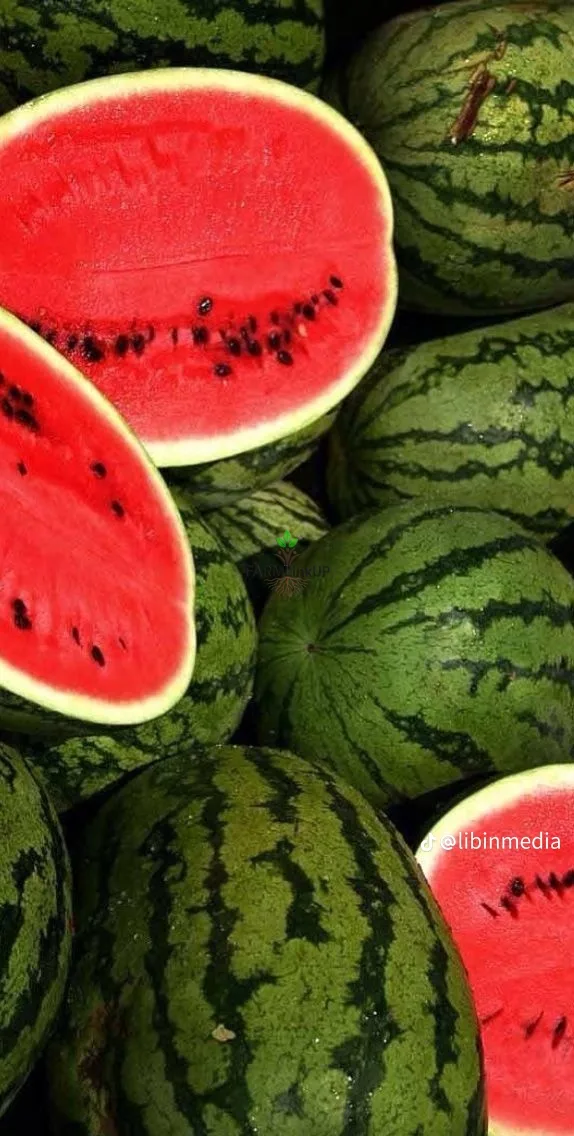 🍉 and cucumber 🥒 for sale in epoma edo state