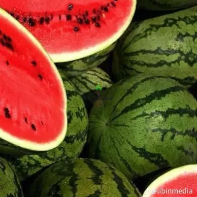 🍉 and cucumber 🥒 for sale in epoma edo state