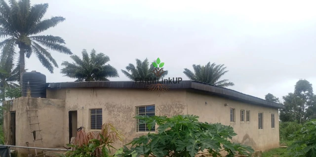12-Acre Working Farm With 5 Greenhouses & Farmhouse, Ido Ibadan