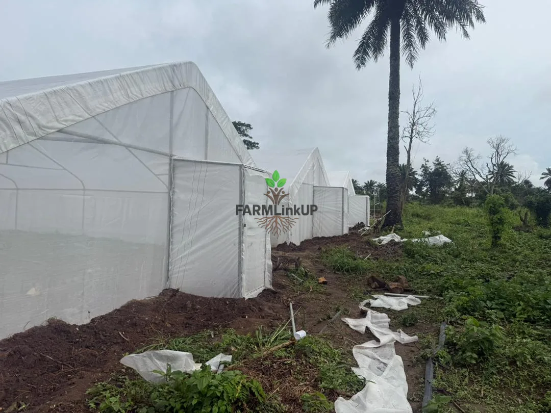 12-Acre Working Farm With 5 Greenhouses & Farmhouse, Ido Ibadan